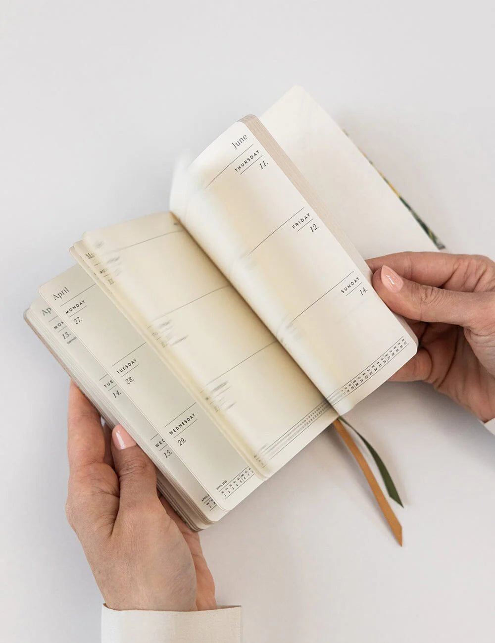 2026 Pocket Planner - Wildflowers - Pure Apotheca