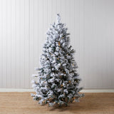 5.5 FT DOUGLAS FIR SNOW TREE - 230 LED - Pure Apotheca