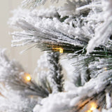 5.5 FT DOUGLAS FIR SNOW TREE - 230 LED - Pure Apotheca