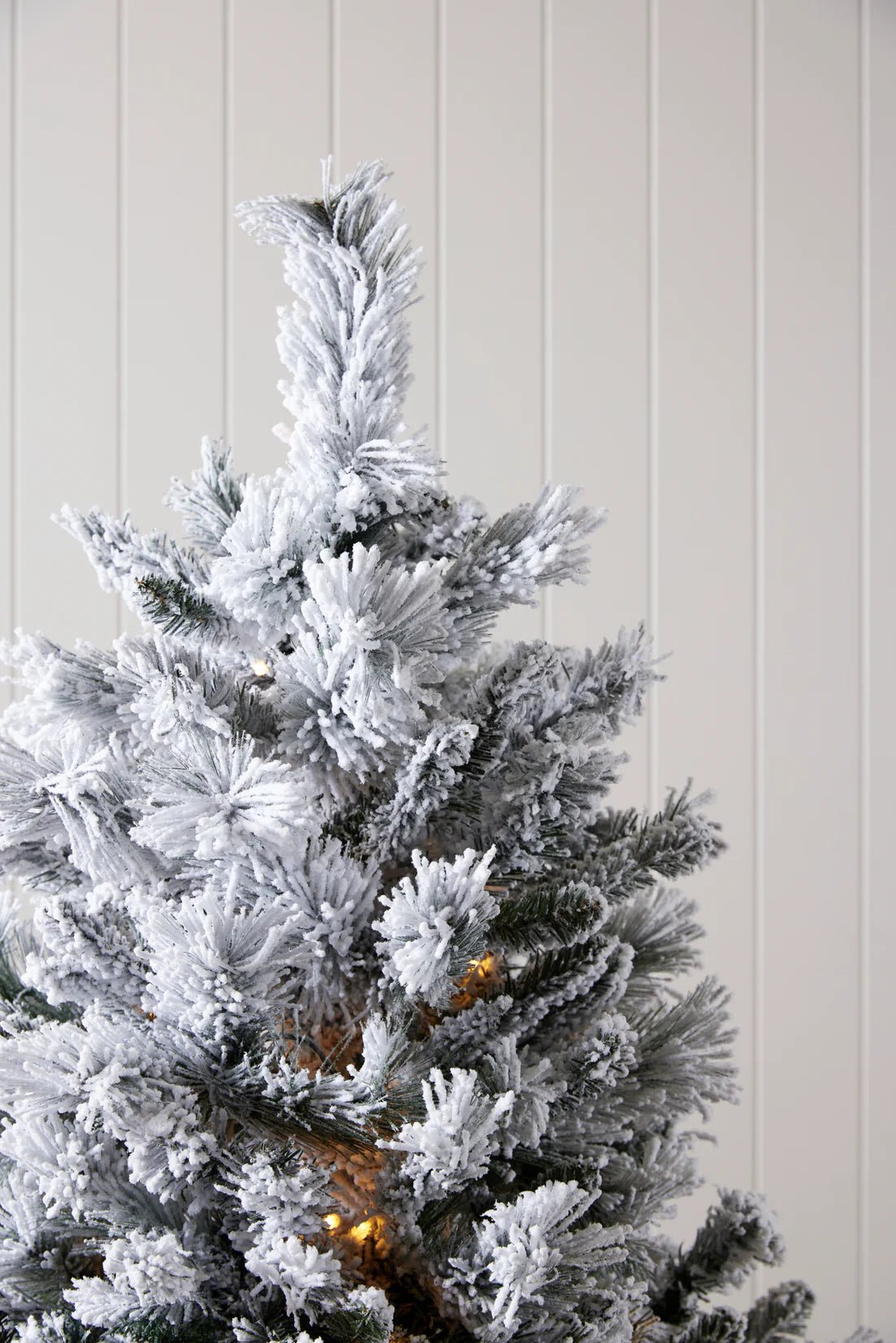 5.5 FT DOUGLAS FIR SNOW TREE - 230 LED - Pure Apotheca