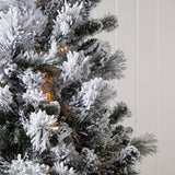 5.5 FT DOUGLAS FIR SNOW TREE - 230 LED - Pure Apotheca