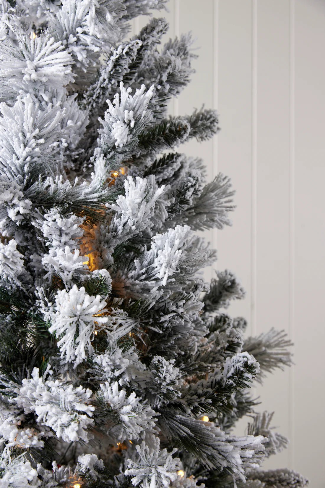 5.5 FT DOUGLAS FIR SNOW TREE - 230 LED - Pure Apotheca