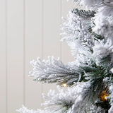 5.5 FT DOUGLAS FIR SNOW TREE - 230 LED - Pure Apotheca