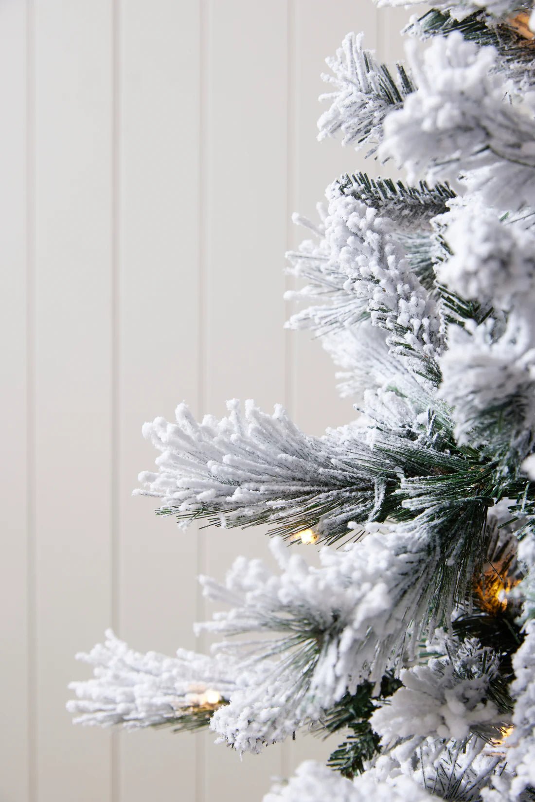 5.5 FT DOUGLAS FIR SNOW TREE - 230 LED - Pure Apotheca