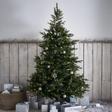 5.5 FT GRAND SPRUCE TREE - 400 LED - Pure Apotheca