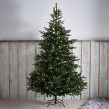 5.5 FT GRAND SPRUCE TREE - 400 LED - Pure Apotheca