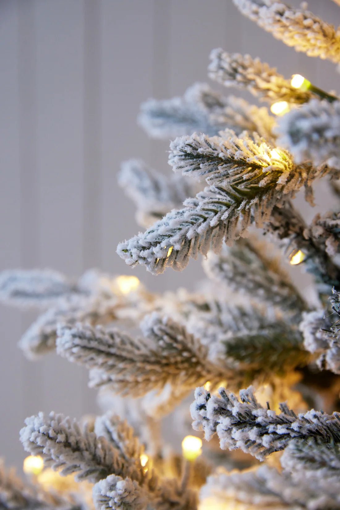 5.5 FT NORWEGIAN PINE SNOW TREE - 420 LED - Pure Apotheca