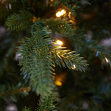 6 FT EVERGREEN TREE - 340 LED - Pure Apotheca