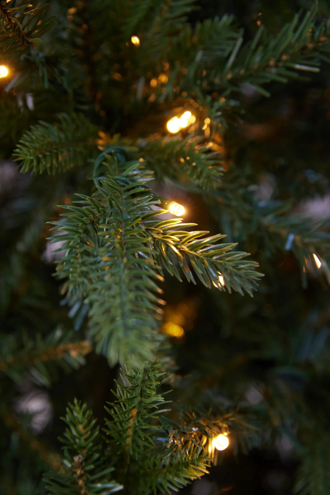 6 FT EVERGREEN TREE - 340 LED - Pure Apotheca