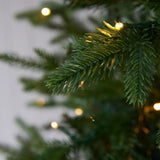 6 FT EVERGREEN TREE - 340 LED - Pure Apotheca