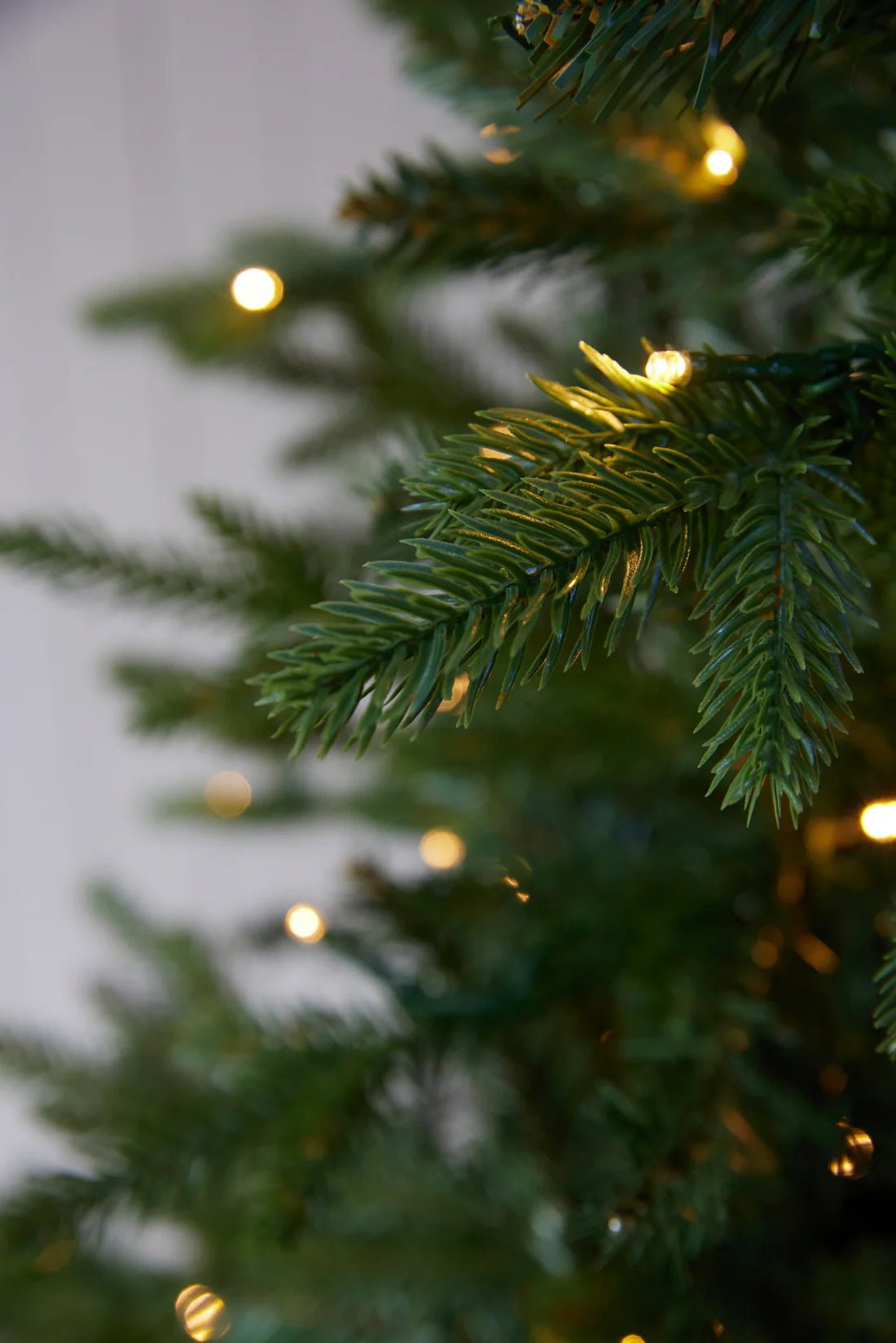 6 FT EVERGREEN TREE - 340 LED - Pure Apotheca
