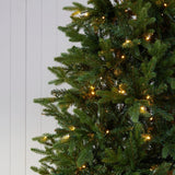 6 FT EVERGREEN TREE - 340 LED - Pure Apotheca
