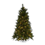 7.5FT DOUGLAS FIR GREEN TREE - 420 LED - Pure Apotheca