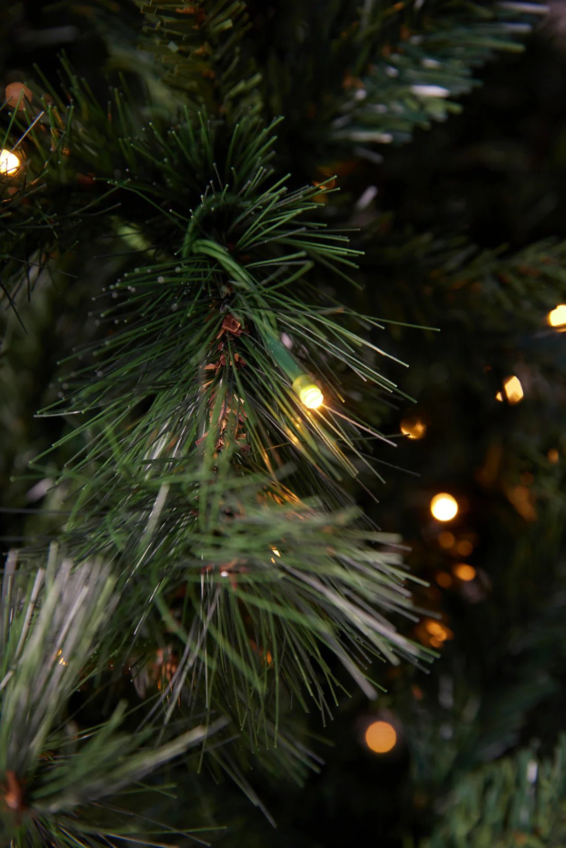 7.5FT DOUGLAS FIR GREEN TREE - 420 LED - Pure Apotheca