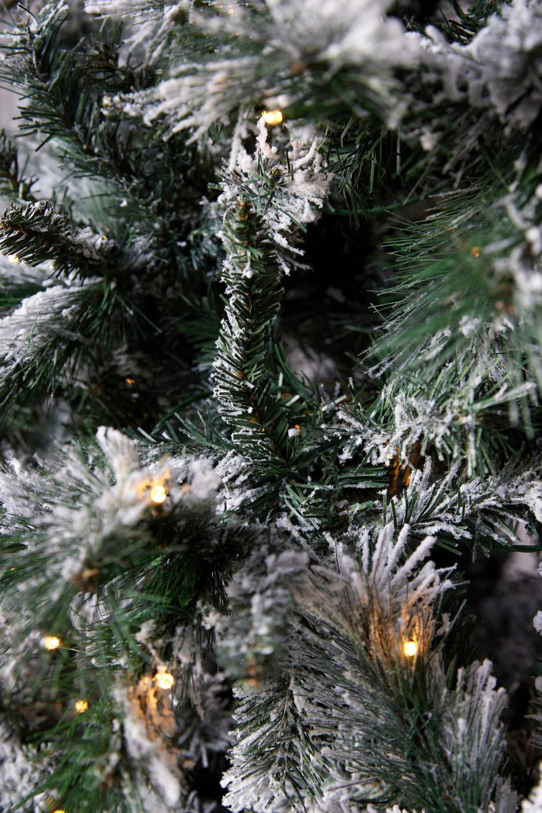 9.5 FT DOUGLAS FIR SNOW TREE - 760 LED - Pure Apotheca