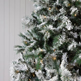 9.5 FT DOUGLAS FIR SNOW TREE - 760 LED - Pure Apotheca