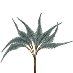 Biswa Corn Bundle Green - Pure Apotheca