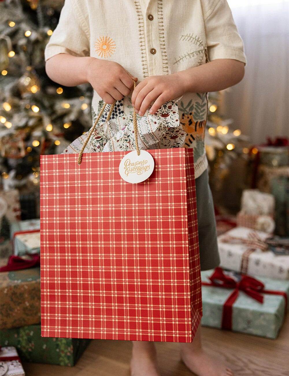 Christmas Red Check Large Gift Bag - Pure Apotheca