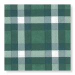 Classic Plaid Green Luncheon Napkins 20pk - Pure Apotheca