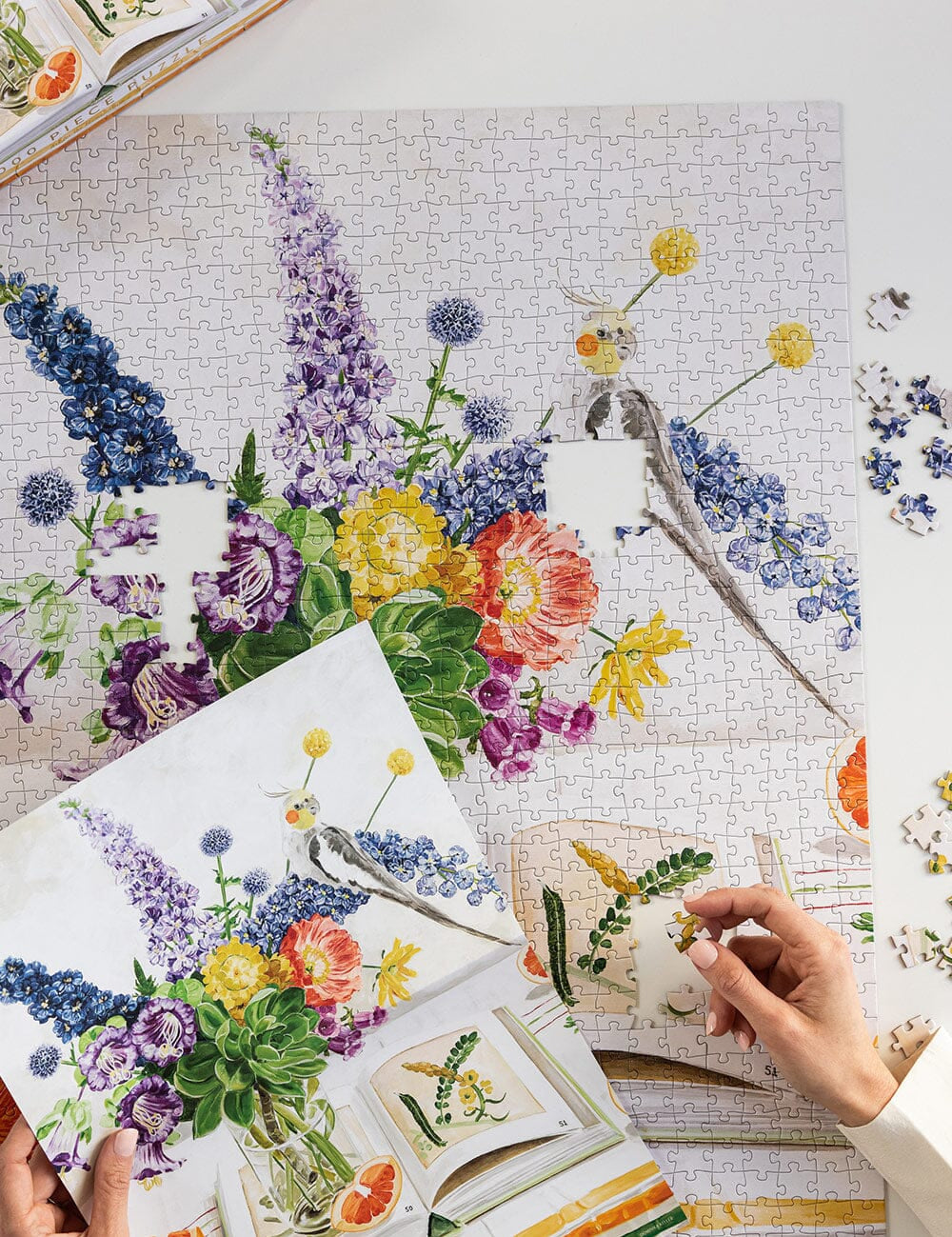 Cockatiels & Ruby Grapefruit 1000pc Puzzle - Pure Apotheca