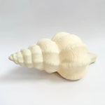 Conch Resin Outdoor Lamp - Pure Apotheca