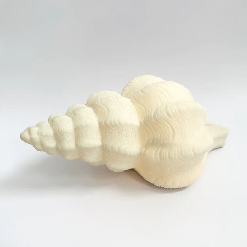 Conch Resin Outdoor Lamp - Pure Apotheca