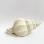 Conch Resin Outdoor Lamp - Pure Apotheca