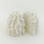 Coral S/2 Resin Bookends 16x22x16.5cm - Pure Apotheca