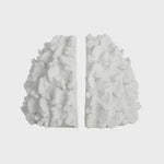 Coral S/2 Resin Bookends 16x22x16.5cm - Pure Apotheca