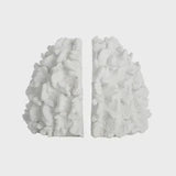 Coral S/2 Resin Bookends 16x22x16.5cm - Pure Apotheca