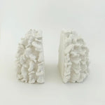 Coral S/2 Resin Bookends 16x22x16.5cm - Pure Apotheca