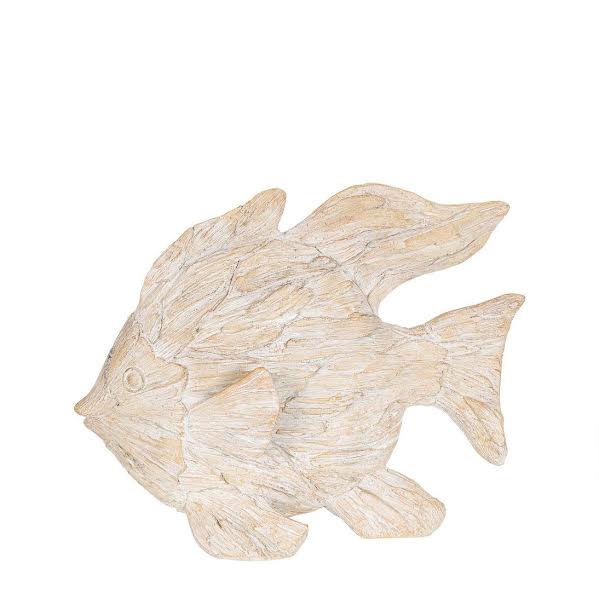 Dory Fish - Pure Apotheca