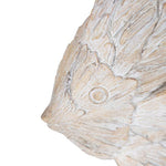 Dory Fish - Pure Apotheca