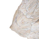 Dory Fish - Pure Apotheca