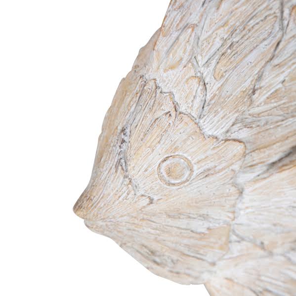 Dory Fish - Pure Apotheca