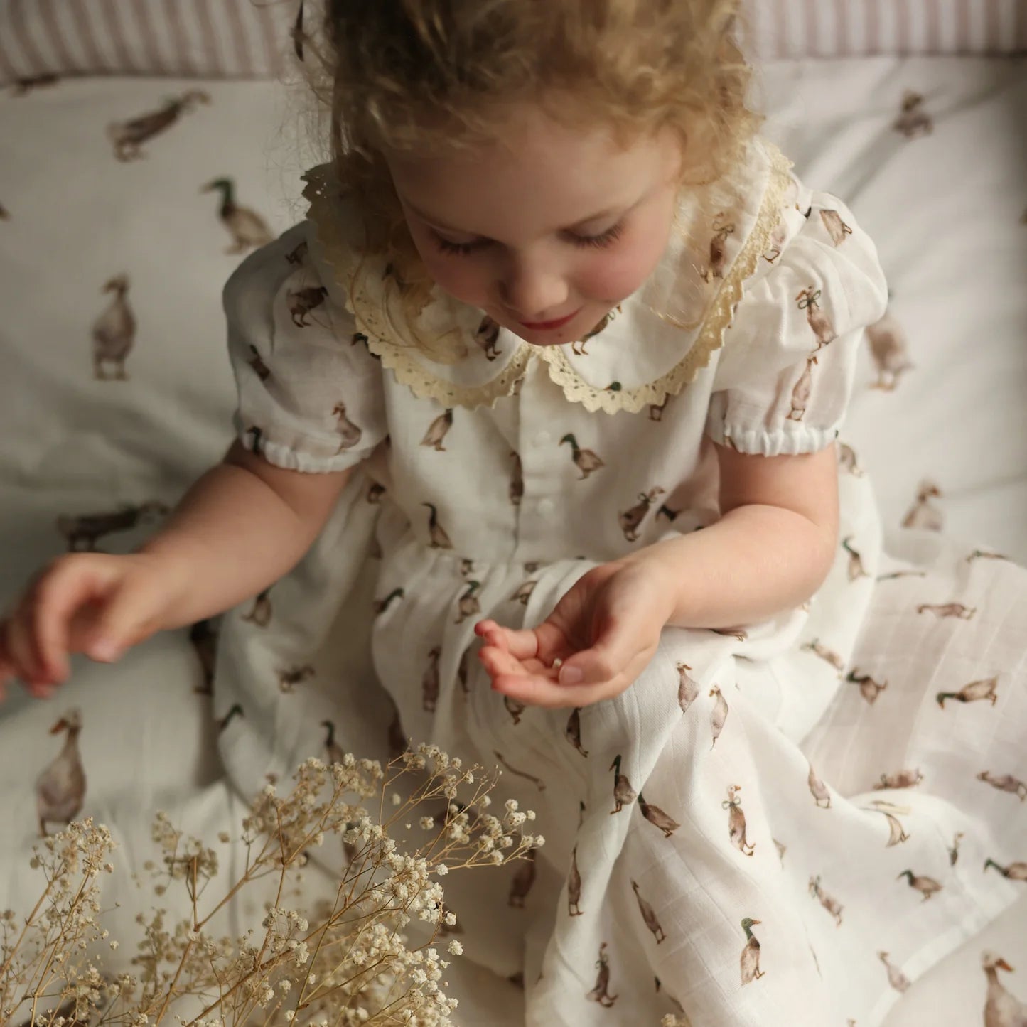 Duck Cotton Dress 2yrs - Pure Apotheca