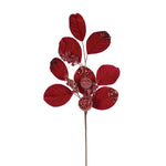 ELABORATE RED BERRY AND FOLIAGE SPRAY - Pure Apotheca