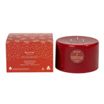 Elume Pillar Cinnamon Spice & Berries Large 3 Wick 6x4” - Pure Apotheca