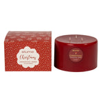 Elume Pillar Cinnamon Spice & Berries Large 3 Wick 6x4” - Pure Apotheca