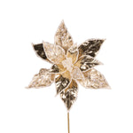 EMBELLISHED HIGH SHINE CHAMPAGNE POINSETTIA - Pure Apotheca
