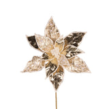 EMBELLISHED HIGH SHINE CHAMPAGNE POINSETTIA - Pure Apotheca
