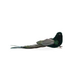 EMERALD LONG TAILED FEATHER BIRD - Pure Apotheca