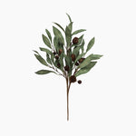 Eucalyptus & Brown Berry Wood Branch - Pure Apotheca