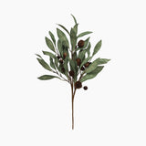 Eucalyptus & Brown Berry Wood Branch - Pure Apotheca