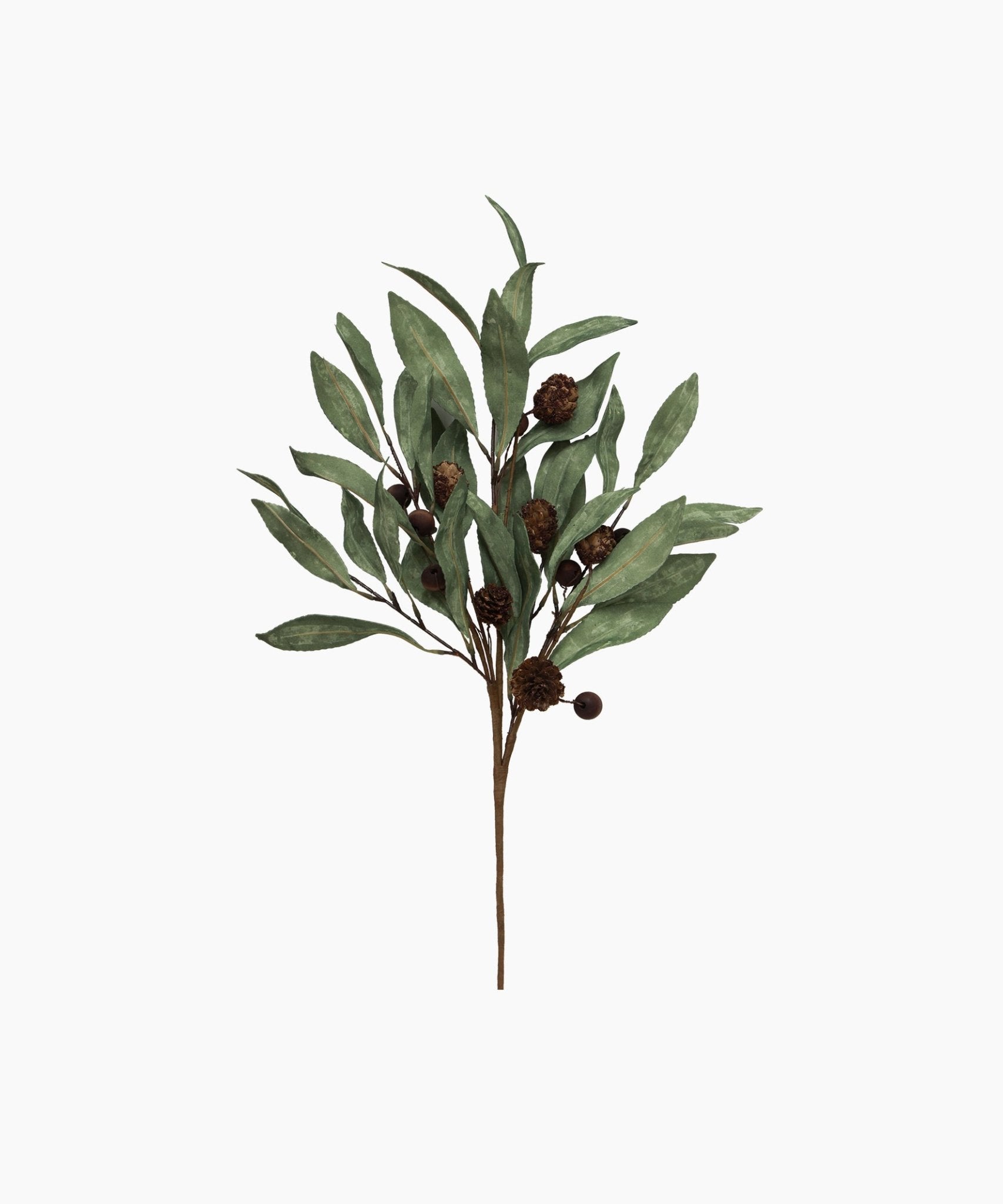 Eucalyptus & Brown Berry Wood Branch - Pure Apotheca