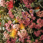 Eucalyptus Flowering Spray Light Pink 76cm - Pure Apotheca