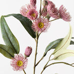 Eucalyptus Flowering Spray Light Pink 76cm - Pure Apotheca