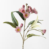 Eucalyptus Flowering Spray Light Pink 76cm - Pure Apotheca