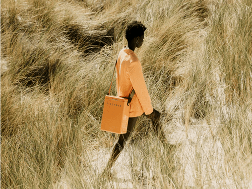 Fieldbar Drinks Box Orchard Orange - Pure Apotheca