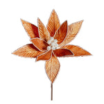 GINGERBREAD POINSETTIA - Pure Apotheca